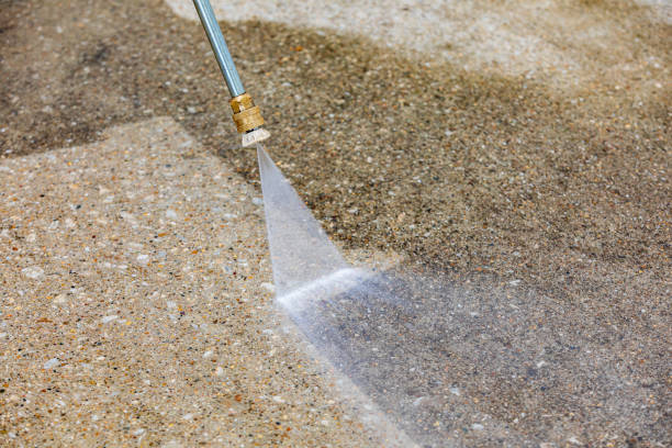 Best Sidewalk and Walkway Cleaning  in Theodore, AL